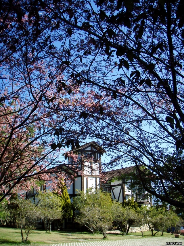 雪見武嶺(2010/2/23~2010/2/24)