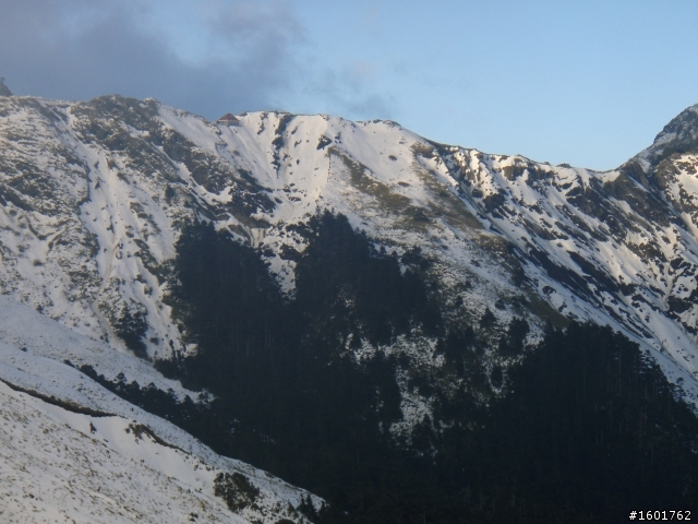 雪見武嶺(2010/2/23~2010/2/24)