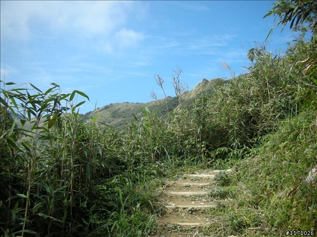 聖母山莊步道