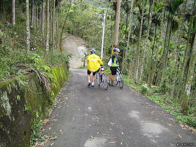 一趟未知的旅程~埔里九份二山