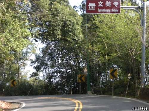 櫻花開了-日月潭環湖與月潭自行車道