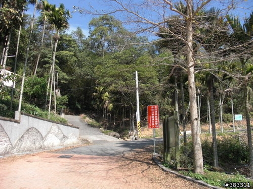 櫻花開了-日月潭環湖與月潭自行車道