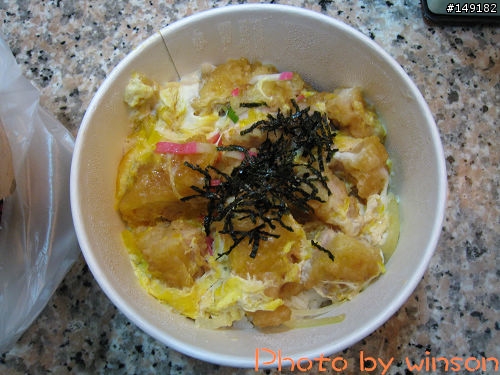 2010 2/14~2/19 春節 6天5夜 單人環島 圖多+文多