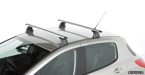 ? 308可用的車頂行李箱?