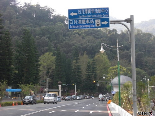 櫻花開了-日月潭環湖與月潭自行車道