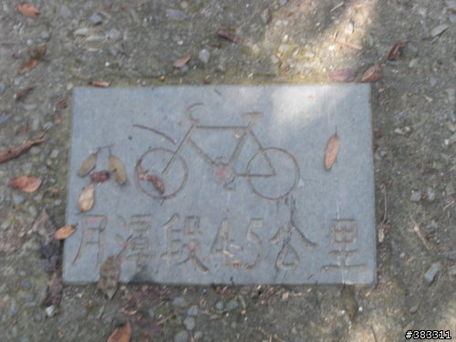 櫻花開了-日月潭環湖與月潭自行車道