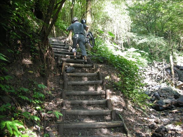 聖母山莊步道