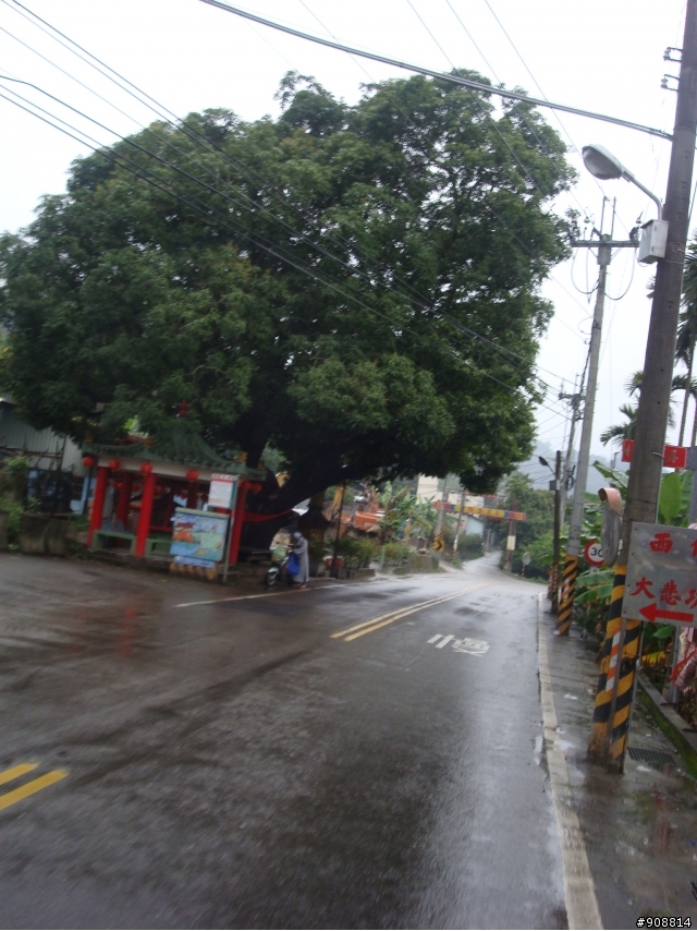 台北人過年假期低溫雨中挑戰台中聖地之136縣道