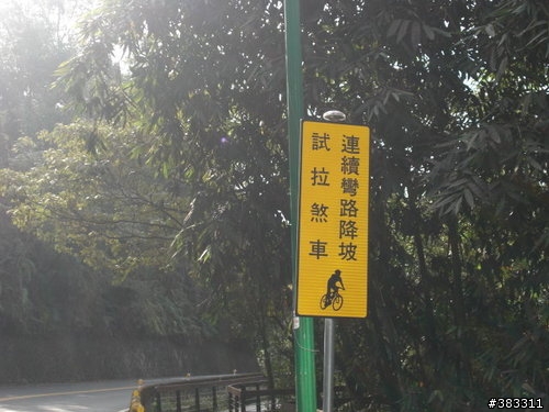 櫻花開了-日月潭環湖與月潭自行車道