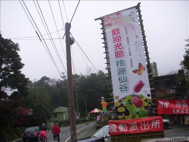 桃園縣復興鄉「2010年櫻花季暨自行車逍遙遊活動」 沒來真的很可惜喔