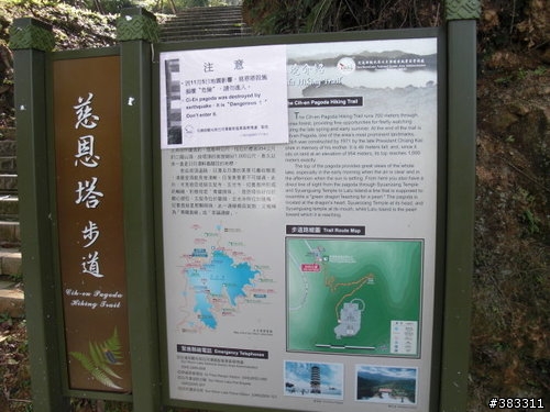 櫻花開了-日月潭環湖與月潭自行車道