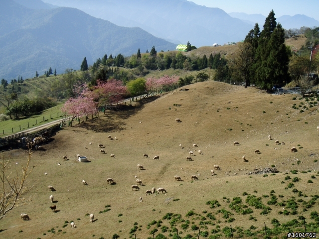 雪見武嶺(2010/2/23~2010/2/24)