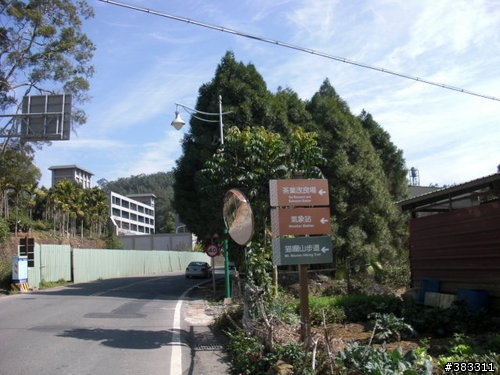 櫻花開了-日月潭環湖與月潭自行車道