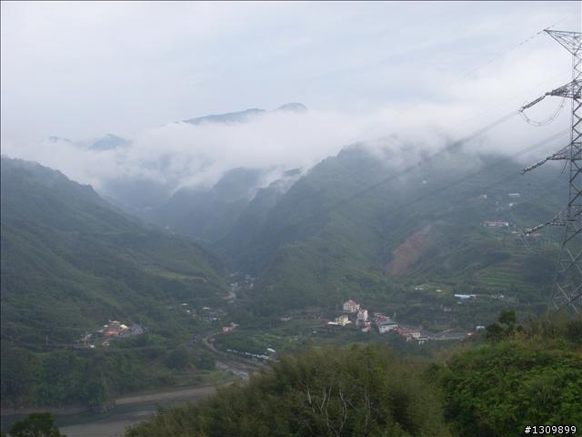 桃園縣復興鄉「2010年櫻花季暨自行車逍遙遊活動」 沒來真的很可惜喔