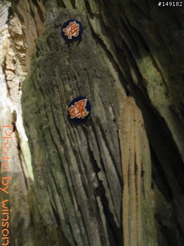 2010 2/14~2/19 春節 6天5夜 單人環島 圖多+文多