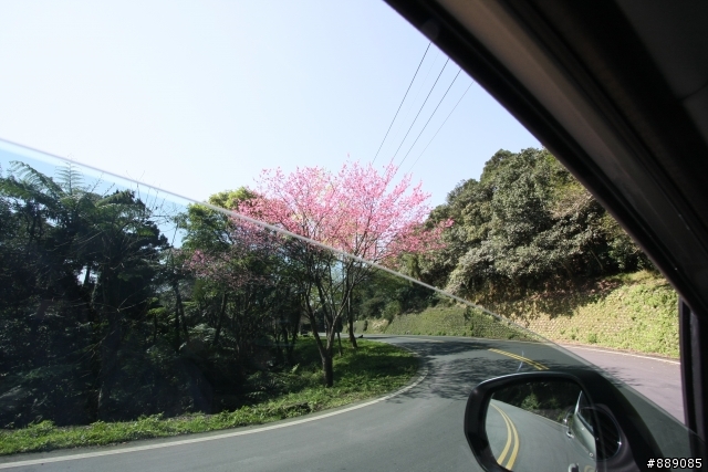 迎虎年,來隻小獅吧~3008開箱~