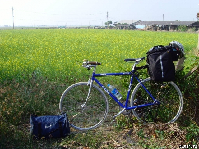 單人單速車環島, 順便轉彎上武嶺