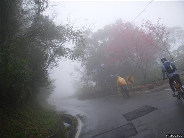 桃園縣復興鄉「2010年櫻花季暨自行車逍遙遊活動」 沒來真的很可惜喔