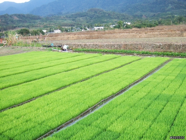 過年前-讓女王輕鬆環島八日遊(內有偷懶方法)
