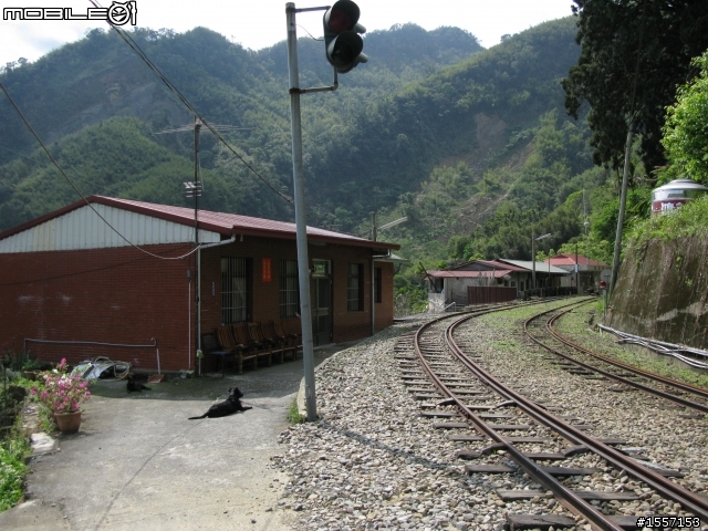 新手初發~獨跑竹崎交力坪車站半日遊~圖多~內有摔車紀錄慎入~