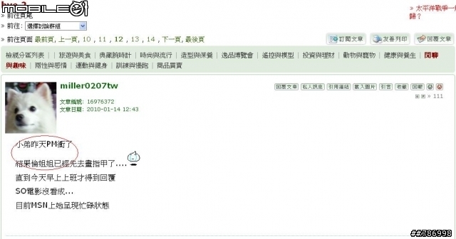 stefanie119 自爆樓 懶人包 (卡通版+瘋狂護衛....... 更新中 ) 追蹤中