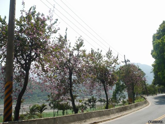 2010-03-22北台灣一日遊,又是獨跑,圖一樣很多XD