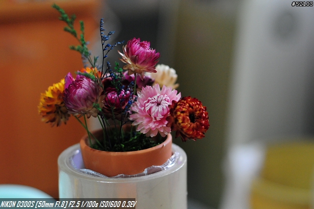 550D v.s. D300s 高ISO大欺小,小欺大...傻傻分不清楚