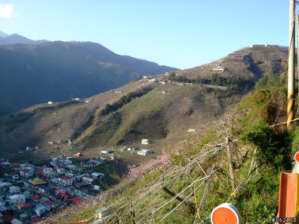 武陵合歡山~殘花殘雪兩日遊(圖多)