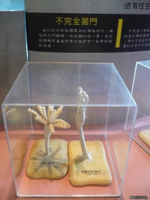2010-03-22北台灣一日遊,又是獨跑,圖一樣很多XD