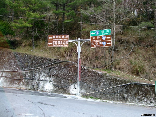 武陵合歡山~殘花殘雪兩日遊(圖多)