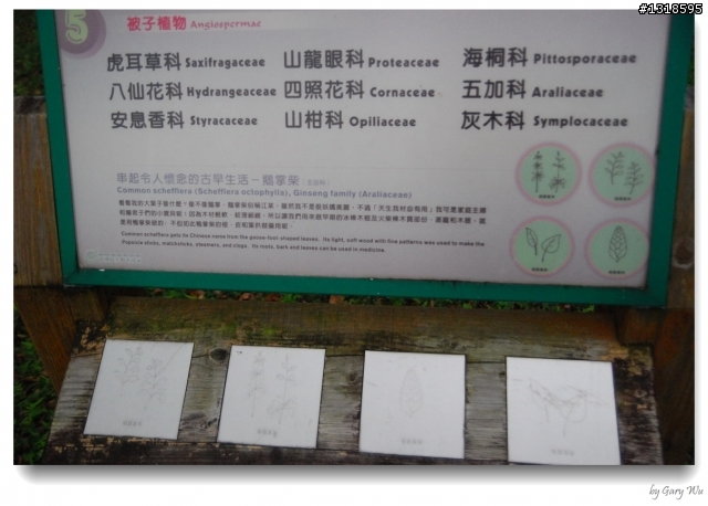 Tour de Taiwan 一人環台第二回、三輪、四袋 (圖多字少)