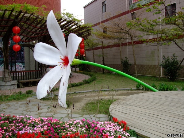 武陵合歡山~殘花殘雪兩日遊(圖多)