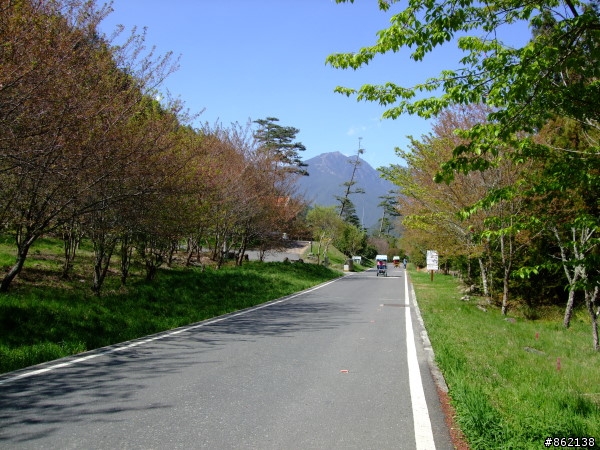 武陵合歡山~殘花殘雪兩日遊(圖多)