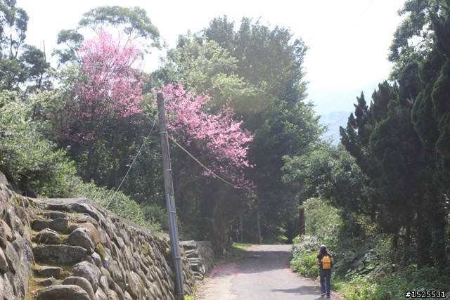 元宵節遊巴拉卡兼試車