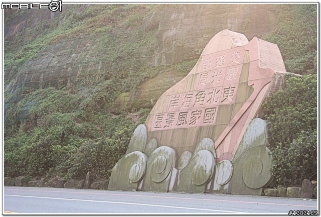 一對老鳥慢慢飛越九份城
