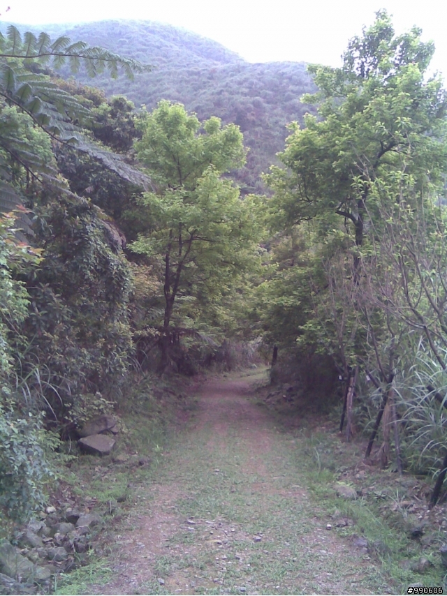 草山雷達站、本山步道←off road入門超推薦!!