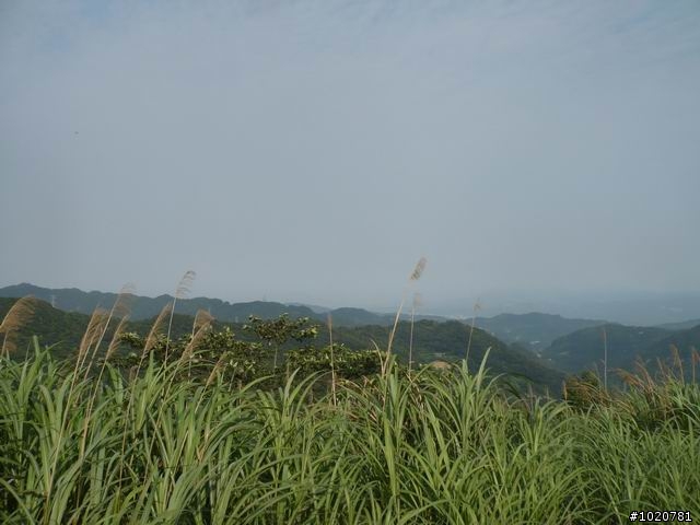 2010-03-22北台灣一日遊,又是獨跑,圖一樣很多XD