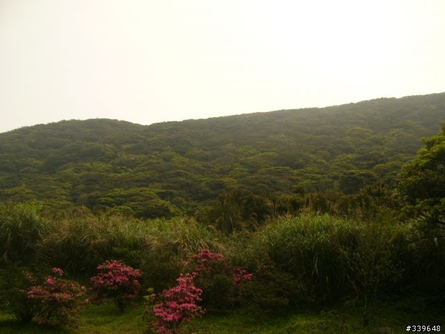 賞櫻外加巴拉卡助航站之行