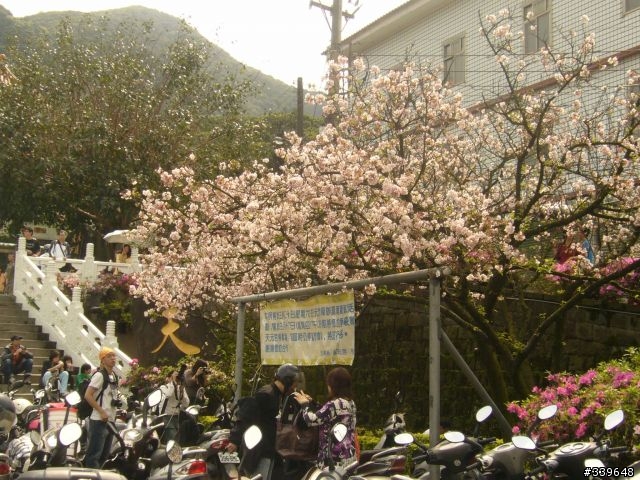 賞櫻外加巴拉卡助航站之行