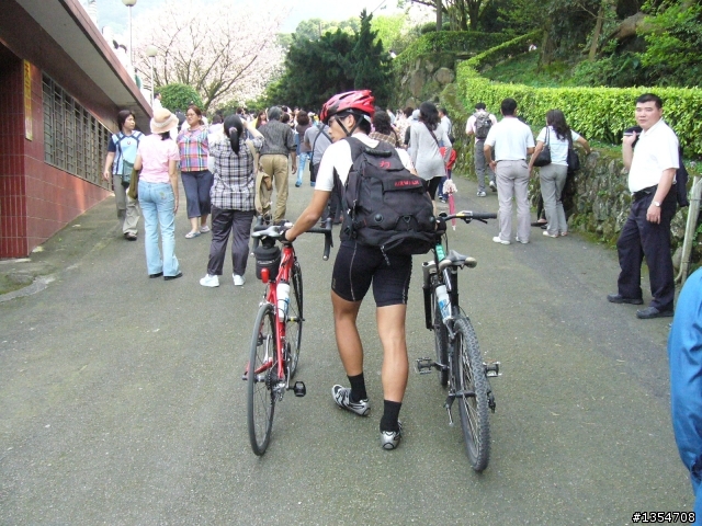淡水無極天元宮賞櫻輕鬆騎