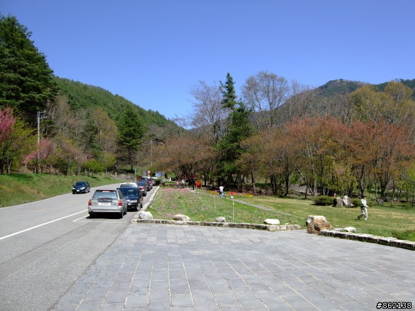 武陵合歡山~殘花殘雪兩日遊(圖多)