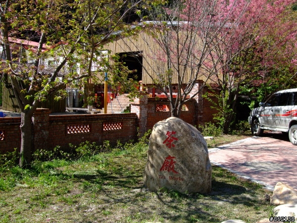 武陵合歡山~殘花殘雪兩日遊(圖多)