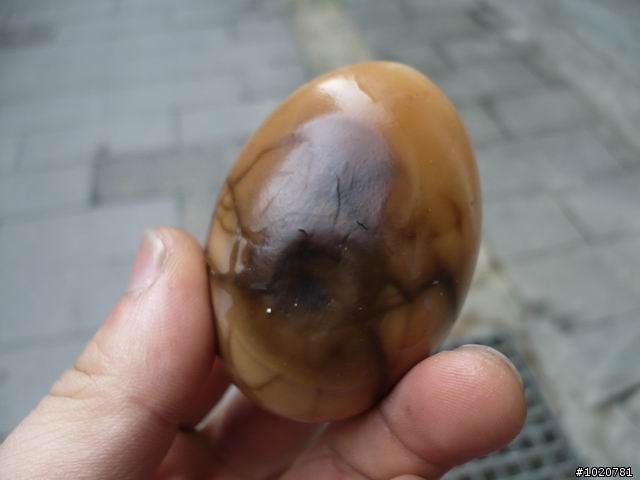 2010-03-22北台灣一日遊,又是獨跑,圖一樣很多XD