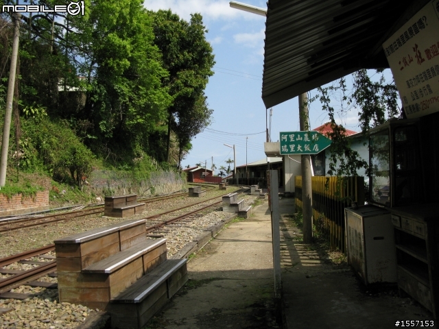 新手初發~獨跑竹崎交力坪車站半日遊~圖多~內有摔車紀錄慎入~