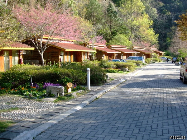 武陵合歡山~殘花殘雪兩日遊(圖多)