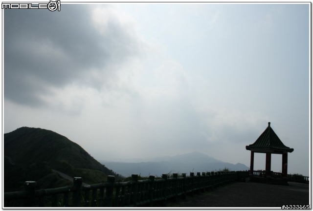 一對老鳥慢慢飛越九份城