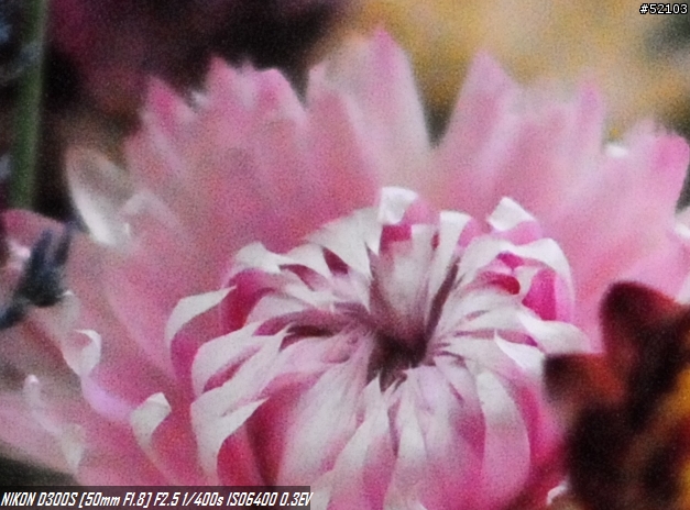 550D v.s. D300s 高ISO大欺小,小欺大...傻傻分不清楚