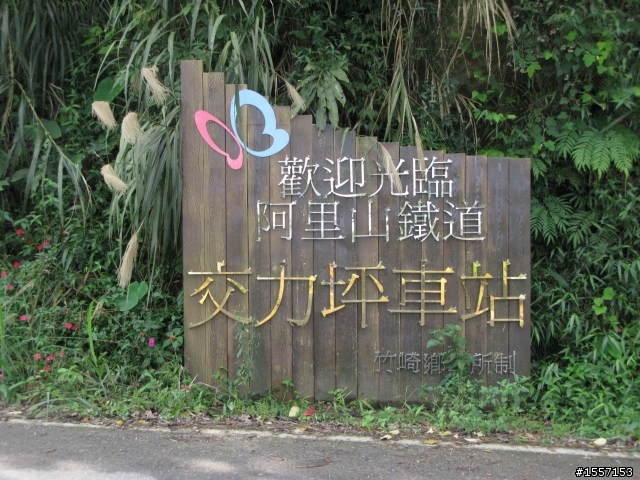 新手初發~獨跑竹崎交力坪車站半日遊~圖多~內有摔車紀錄慎入~