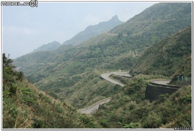 一對老鳥慢慢飛越九份城