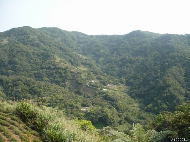 2010-03-22北台灣一日遊,又是獨跑,圖一樣很多XD